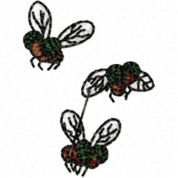 Insectes Embroidery Design 6 Insectes Embroidery Design 6